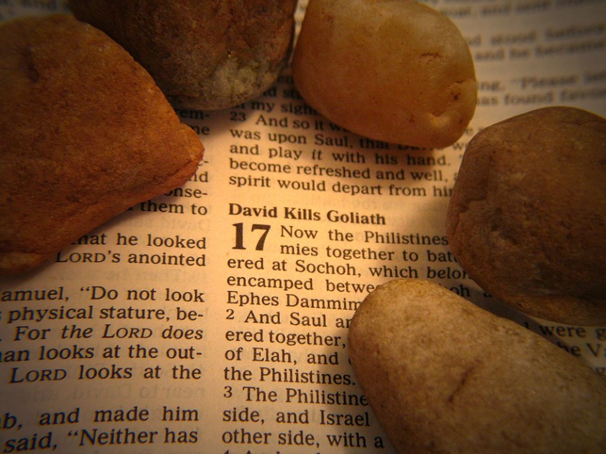 Your Weekly Dose of Sanity-Saving Good News! – The “Five Smooth Stones”&nbsp;Edition