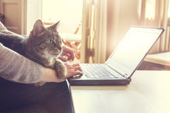 woman-her-cat-working-laptop-computer-contented-tabby-who-lying-across-lap-arm-home-typing-data-close-up-65005706