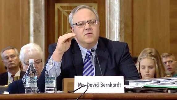 1060x600-9f7d9cd5e079043015b4f98d6b81d18b