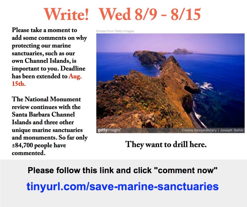 Keep up the pressure to save our beautiful Channel&nbsp;Islands!