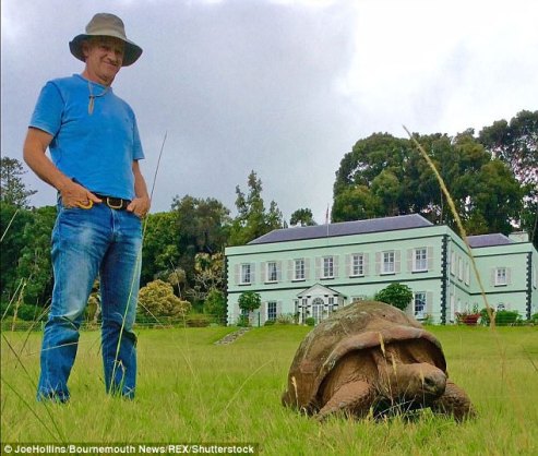 4579250200000578-4995278-image-a-34_1508374319655