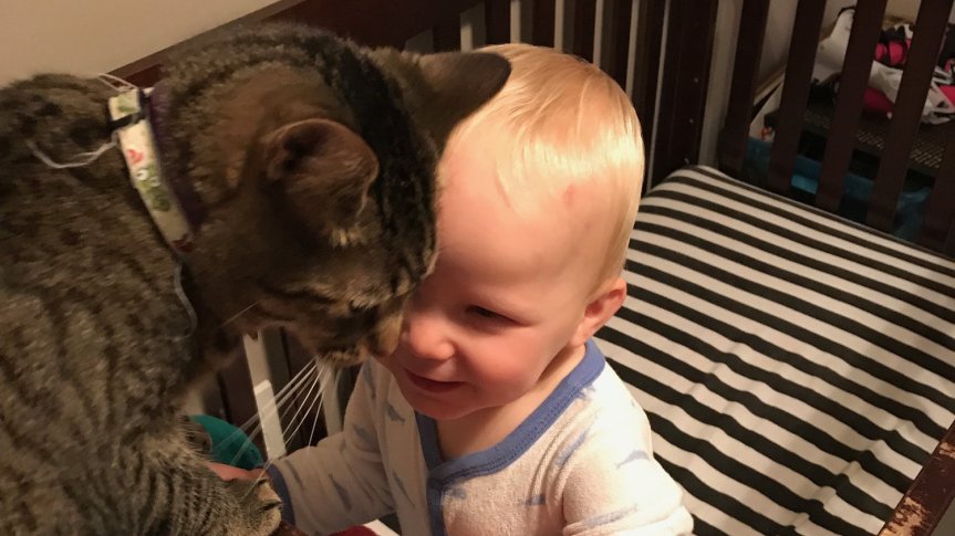 image-uploaded-from-ios_wide-ff6503ecaf4854ab25bda79c941d6187ccca0484-s1500-c85