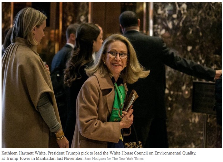 Kathleen Hartnett-White
