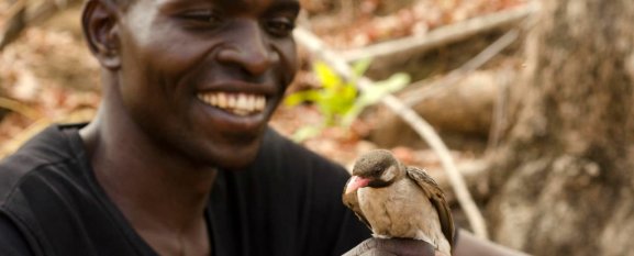 honeyhunter_web_1024