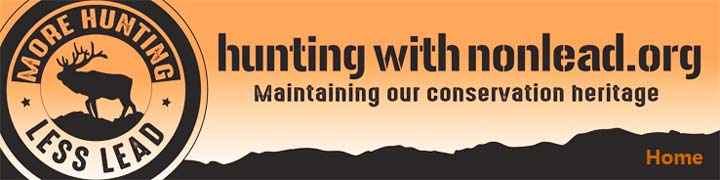 Banner_TraditionalAlt