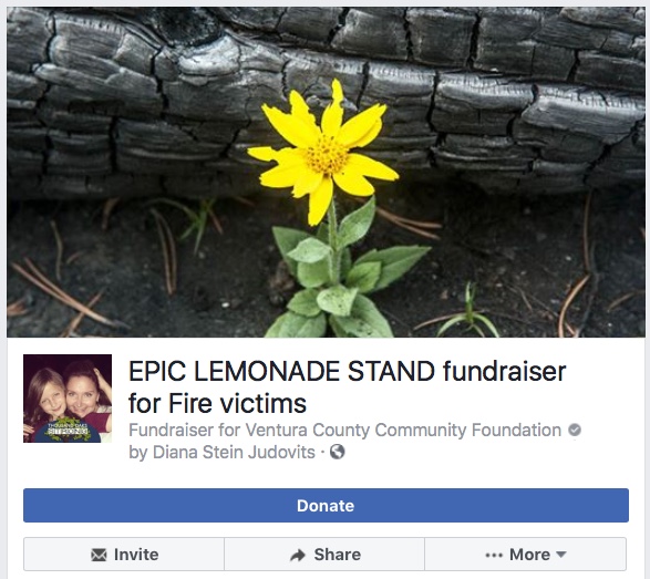 Lemonade stand.jpeg