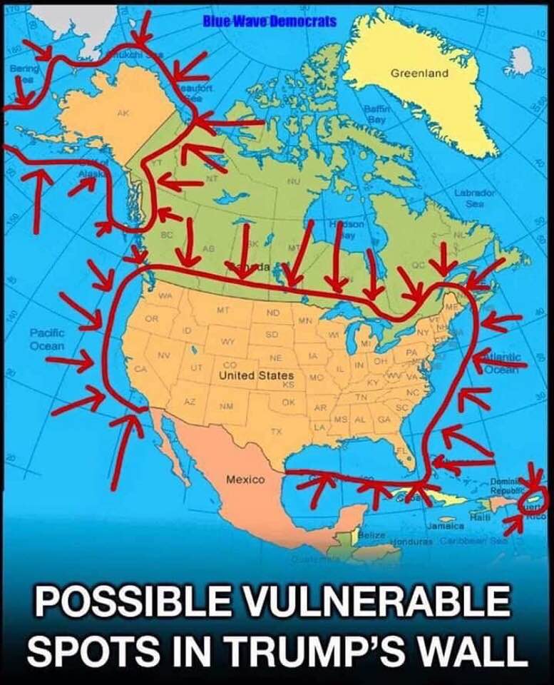 49536020_10215465422363459_2022874496280559616_n