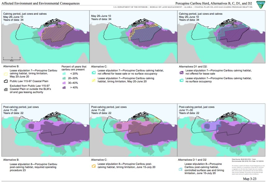 caribou in alternatives