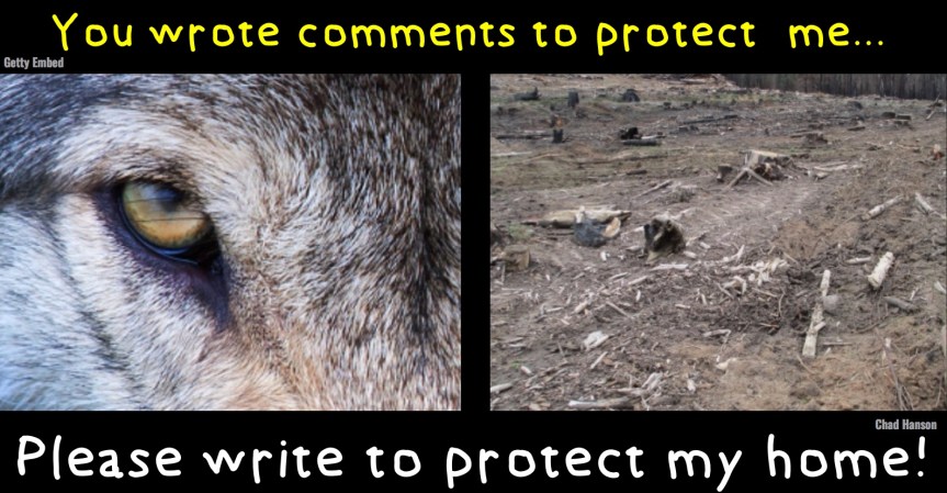 Fri 8/23: This is your 3-day warning…The Trump administration is handing over our national forests to industry & “right-sizing” our ability to comment. Deadline&nbsp;8/26.