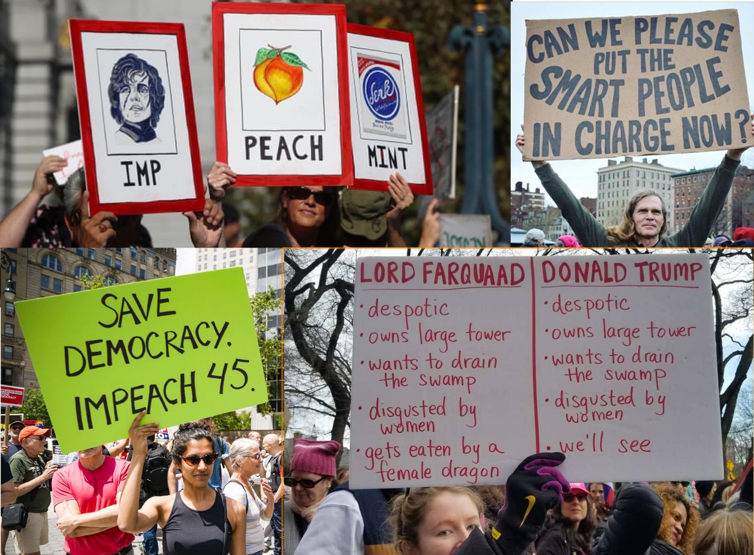 impeachment signs.jpeg