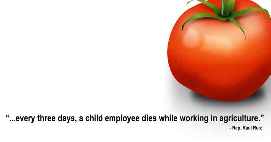 Do you know what your food REALLY&nbsp;costs?