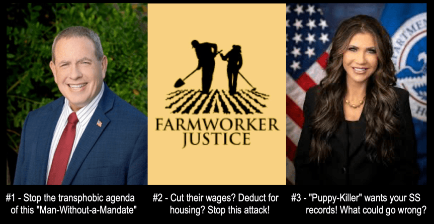 3 actions to do during lunch&nbsp;today!